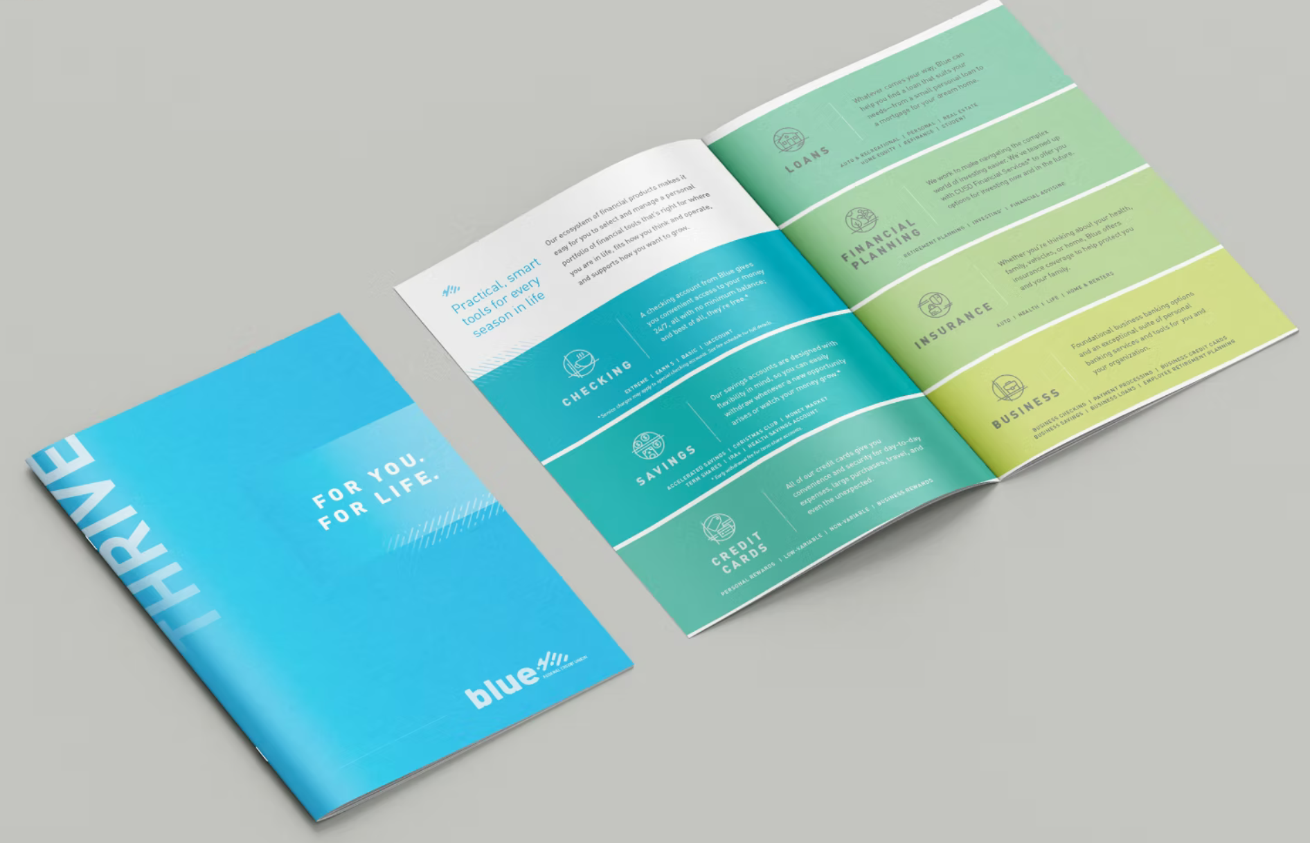 Photo of a blue credit union brand book showing categories and icons