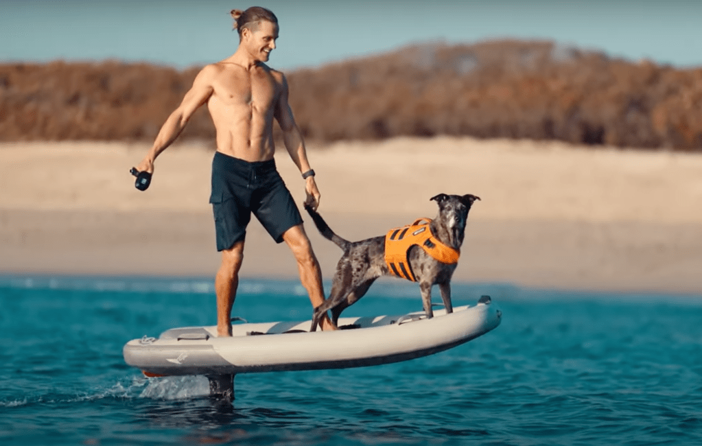 Man on a lift foil with dog wearing life jacket, beach in background