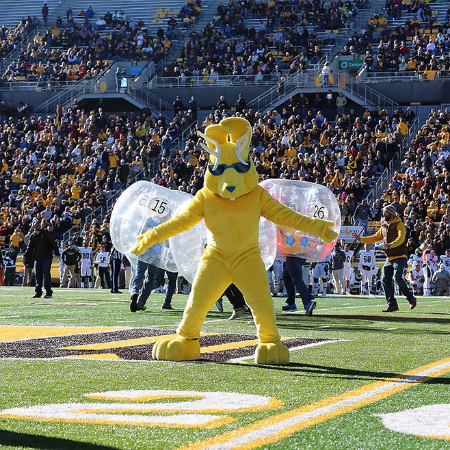Wyolotto jackolope mascot at a football game
